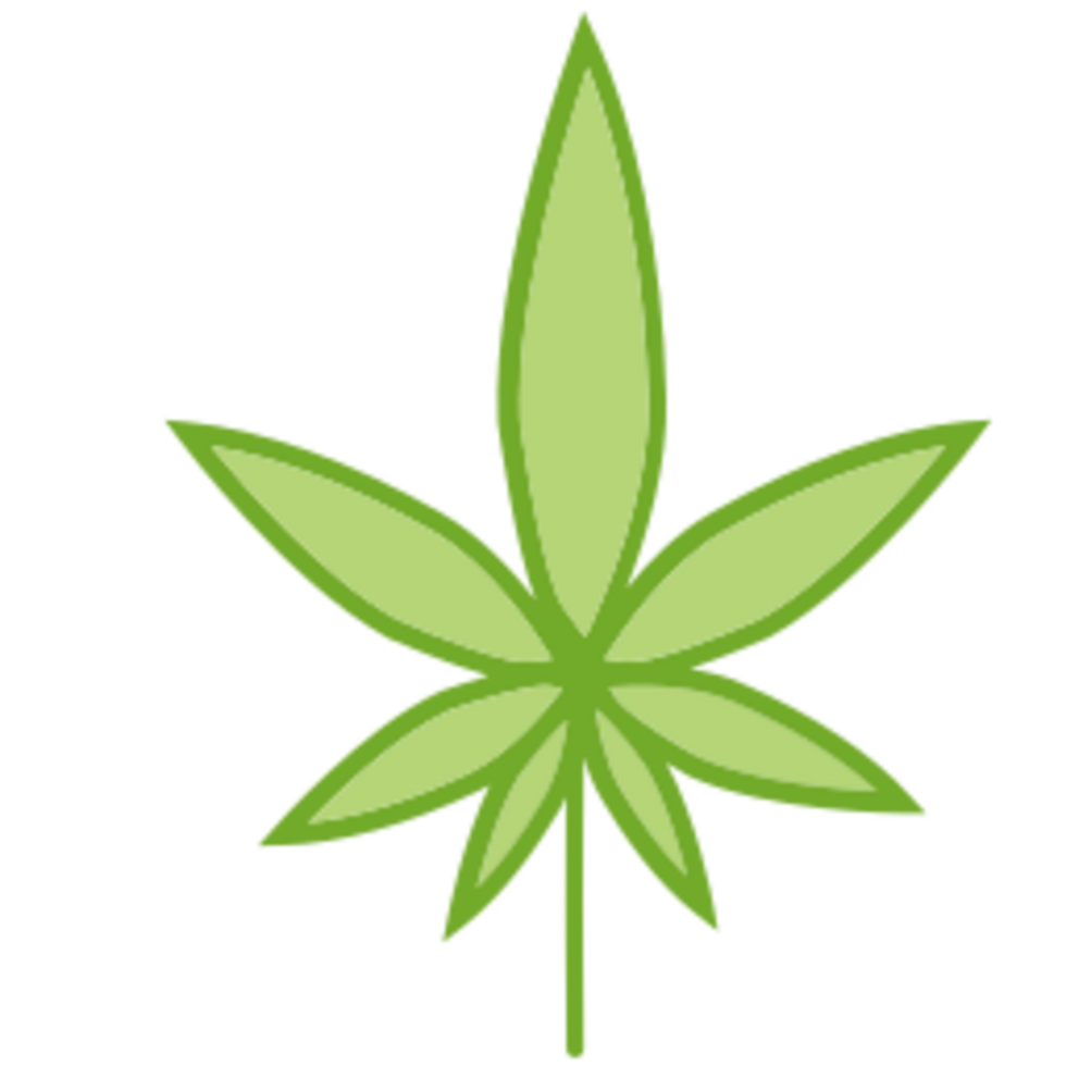Leaf illustration design png