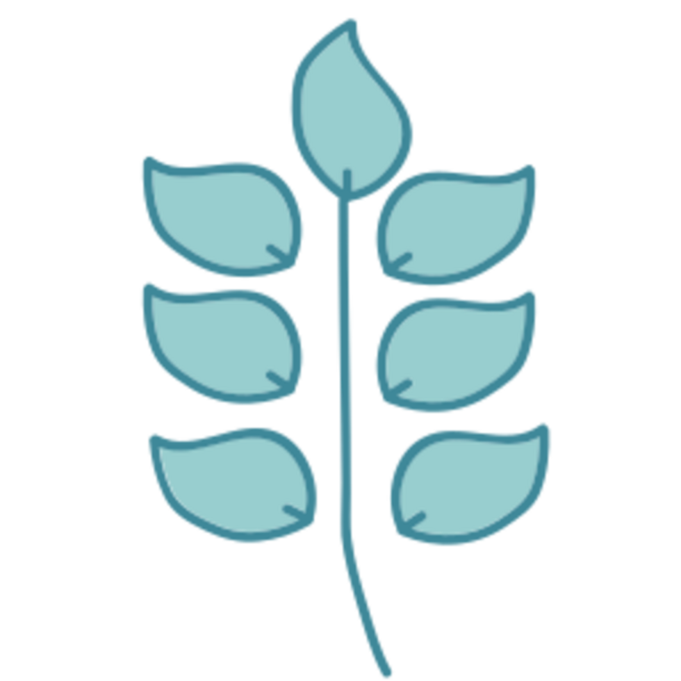 Leaf illustration design png