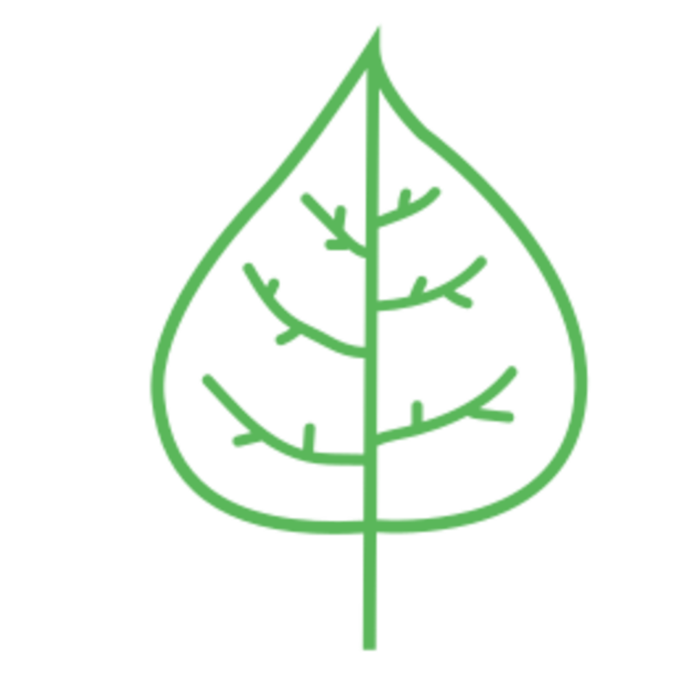 Leaf illustration design png