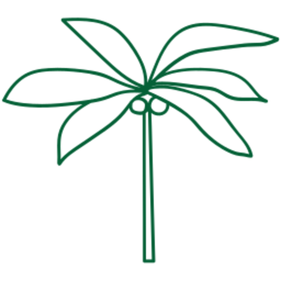 Leaf illustration design png