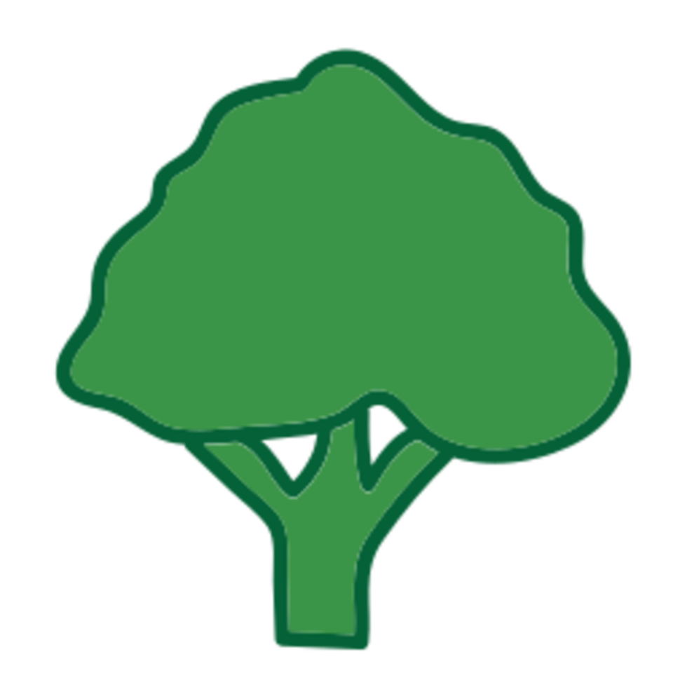 Leaf illustration design png