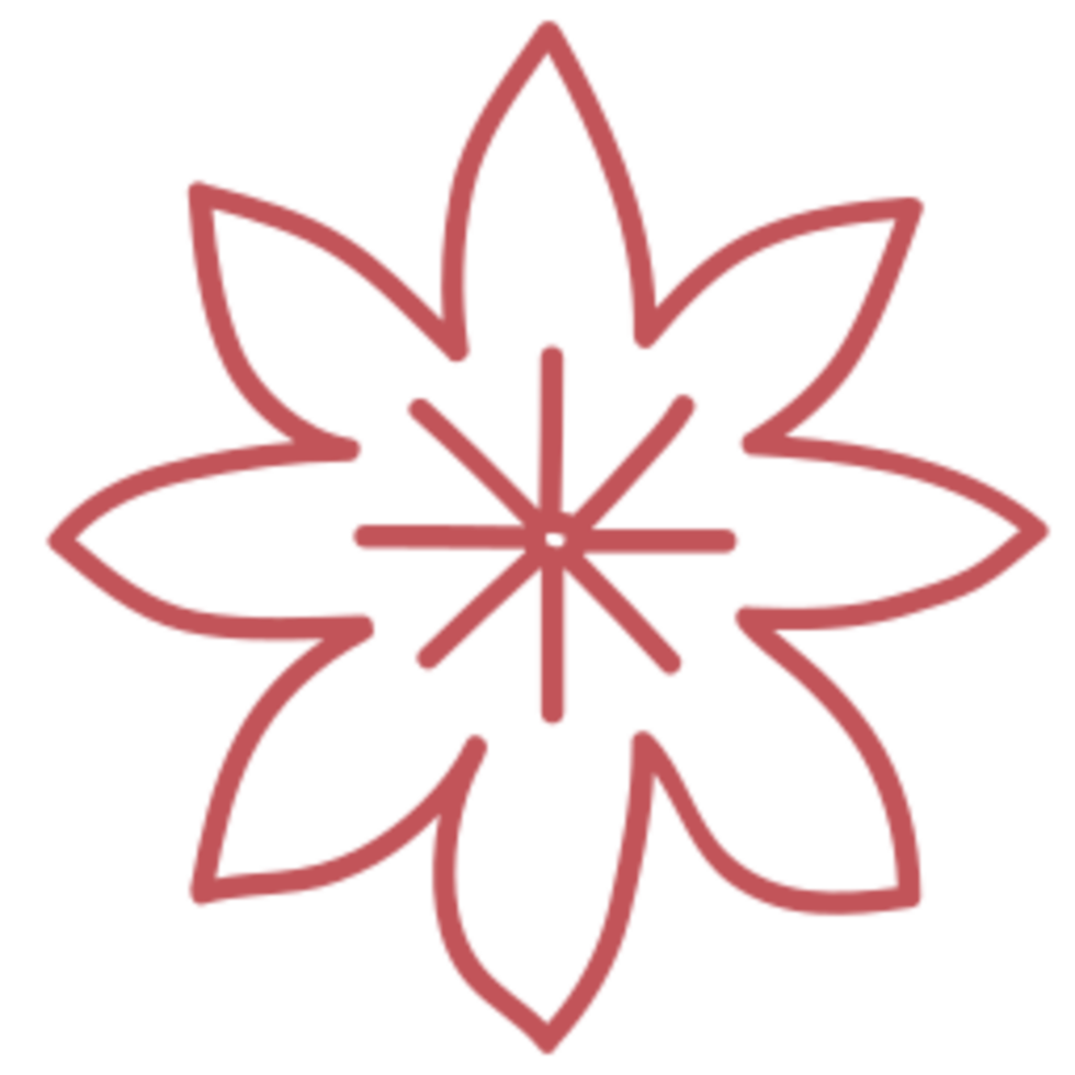 Flower illustration design png