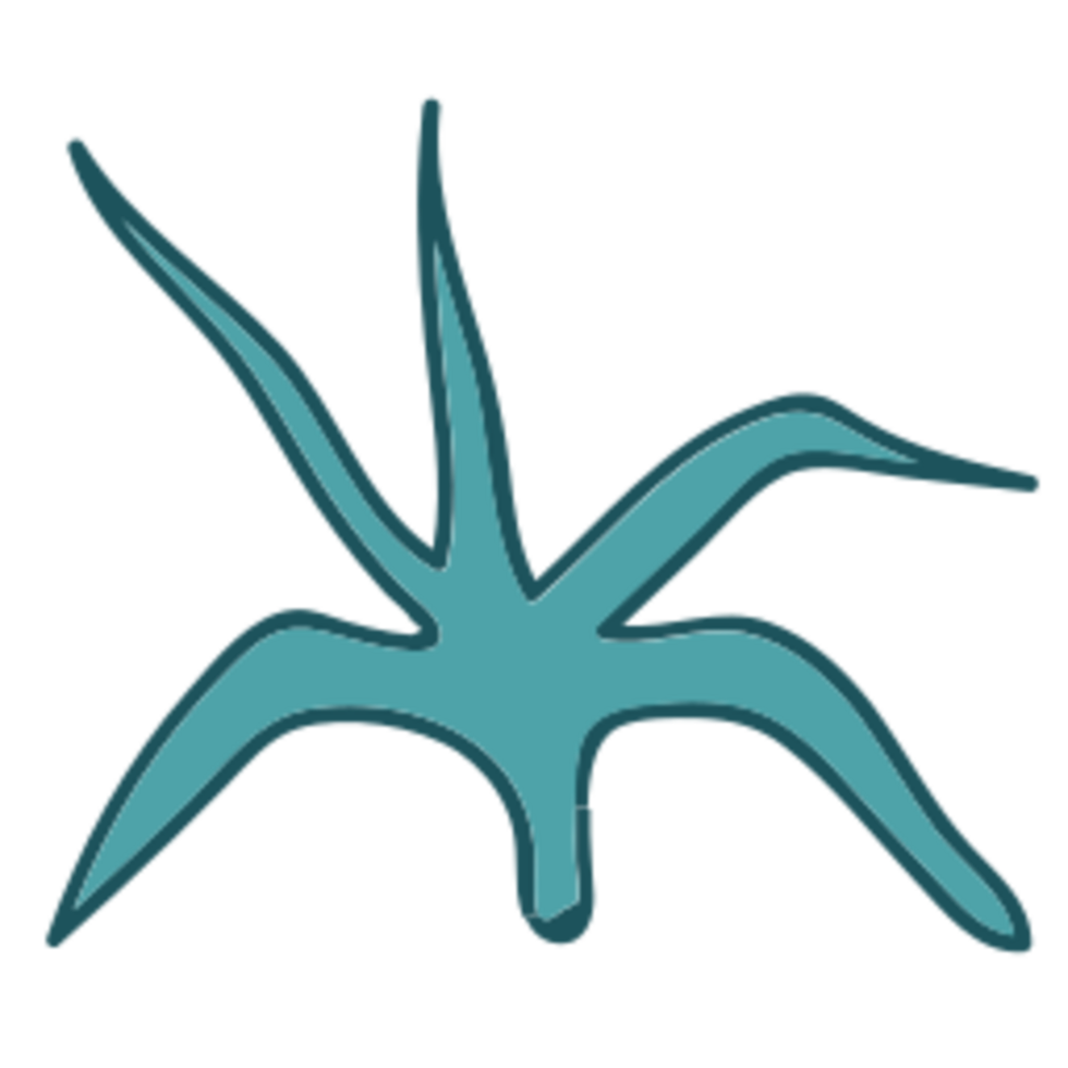 Leaf illustration design png