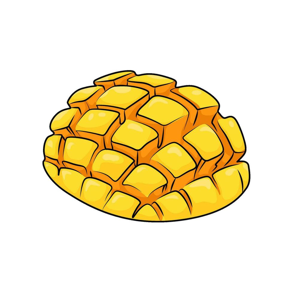 mango slice illustration vector