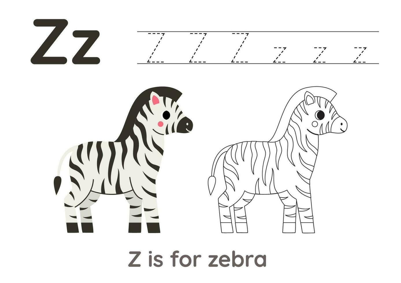 Tracing alphabet letters with cute animals. Color cute zebra. Trace letter Z. vector