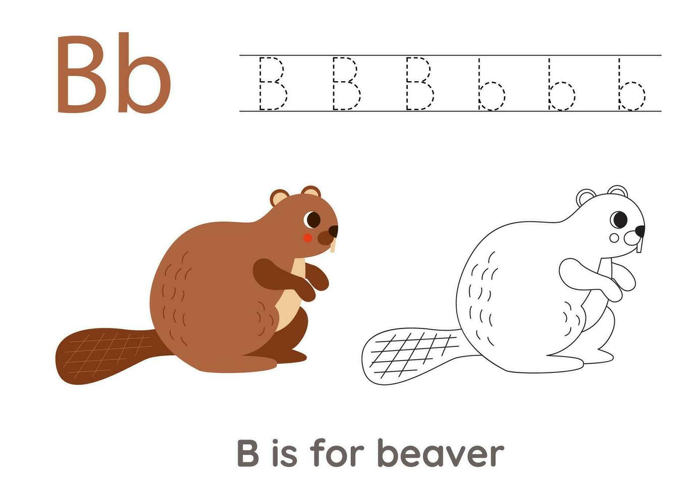 Tracing alphabet letters with cute animals. Color cute brown beaver. Trace letter B. vector