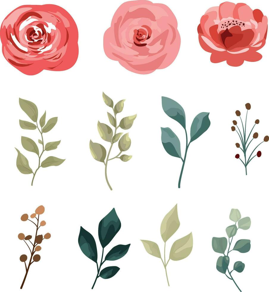 set of floral and leaf elements vector