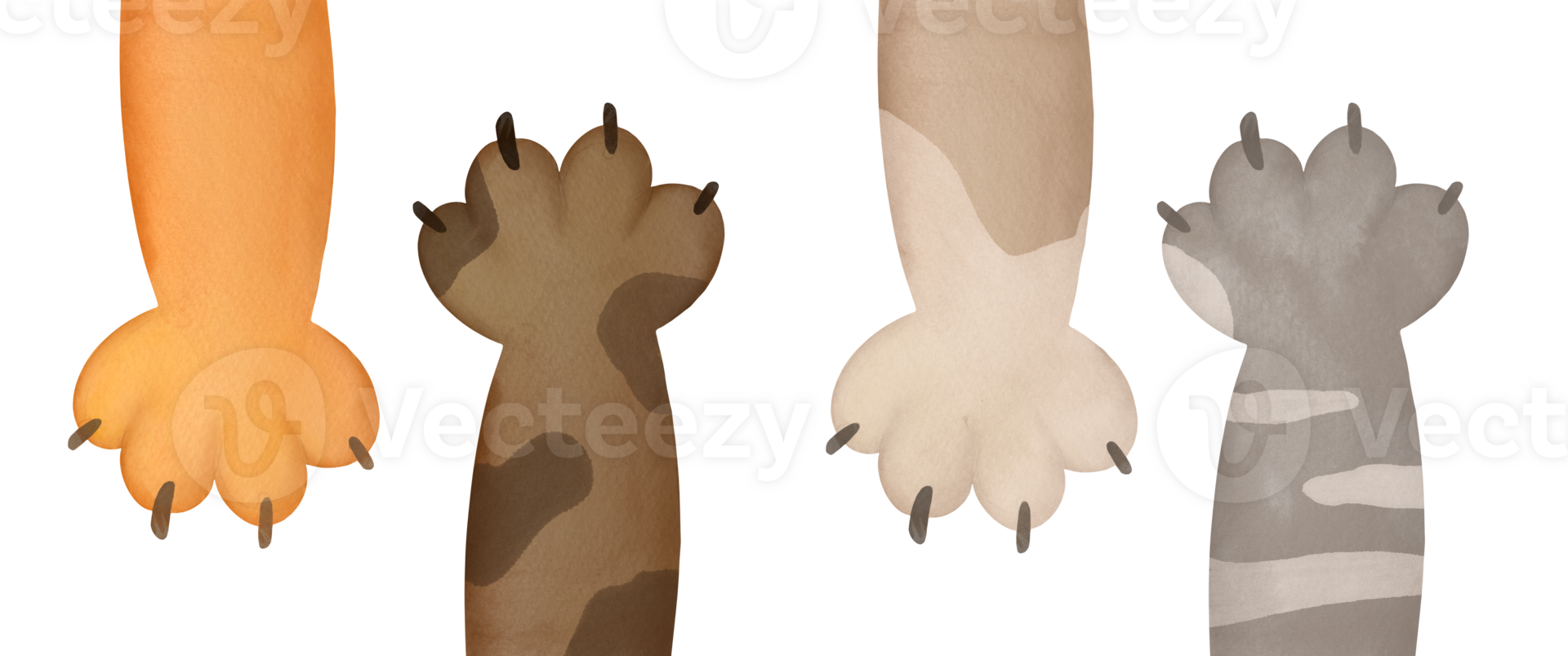 Different cartoon multi-colored cat paws up set. cute cartoon domestic animal foot Collection isolated on transparent background. Funny fur pet footprints with claws. Help animal concept pet adoption png