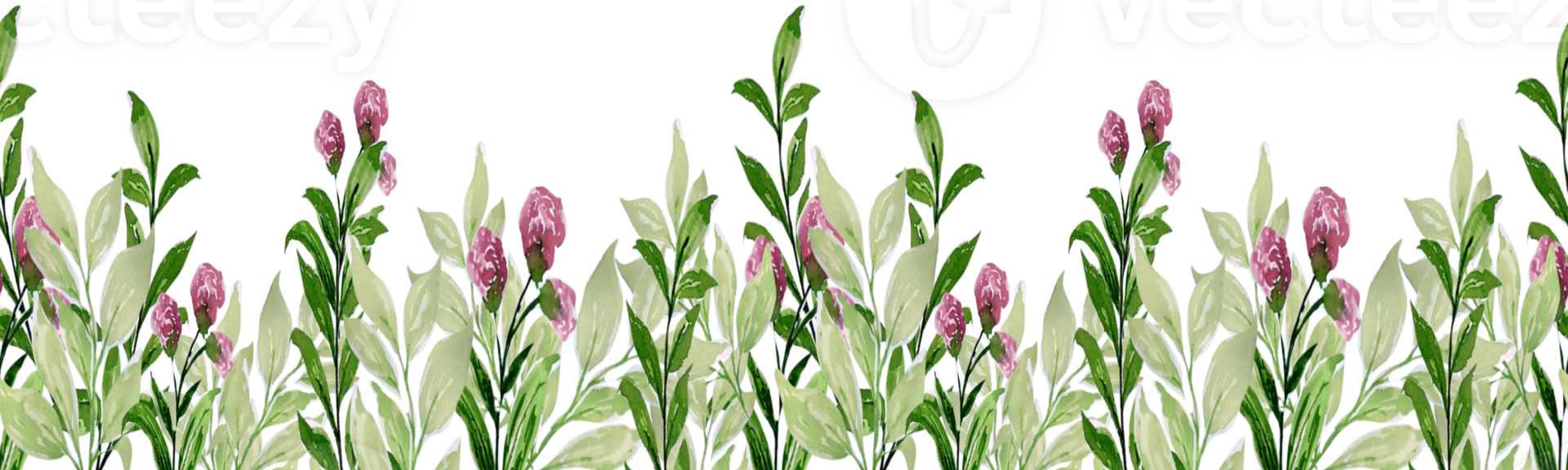 Watercolor Flower Leaves Border png