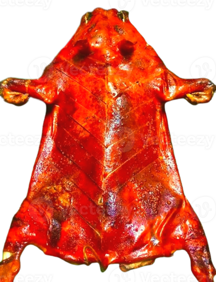 barbecued suckling pig png