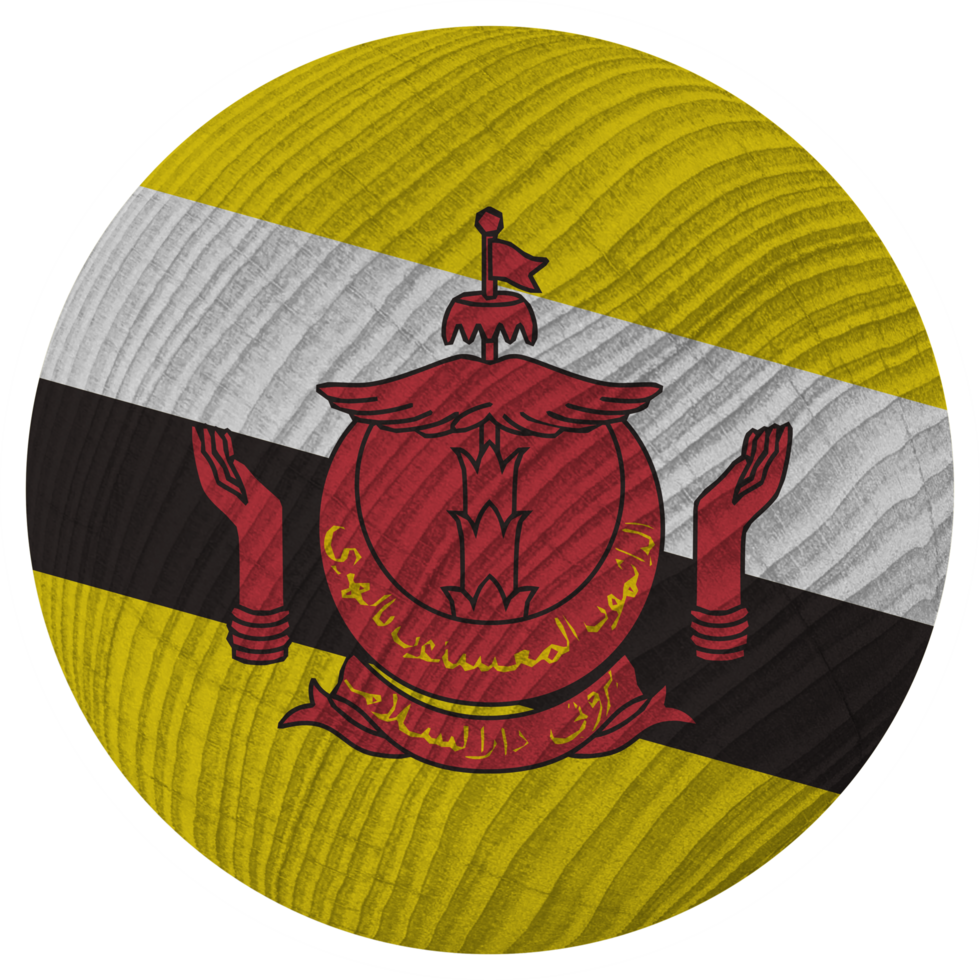 brunei nacional bandeira dentro círculo forma png