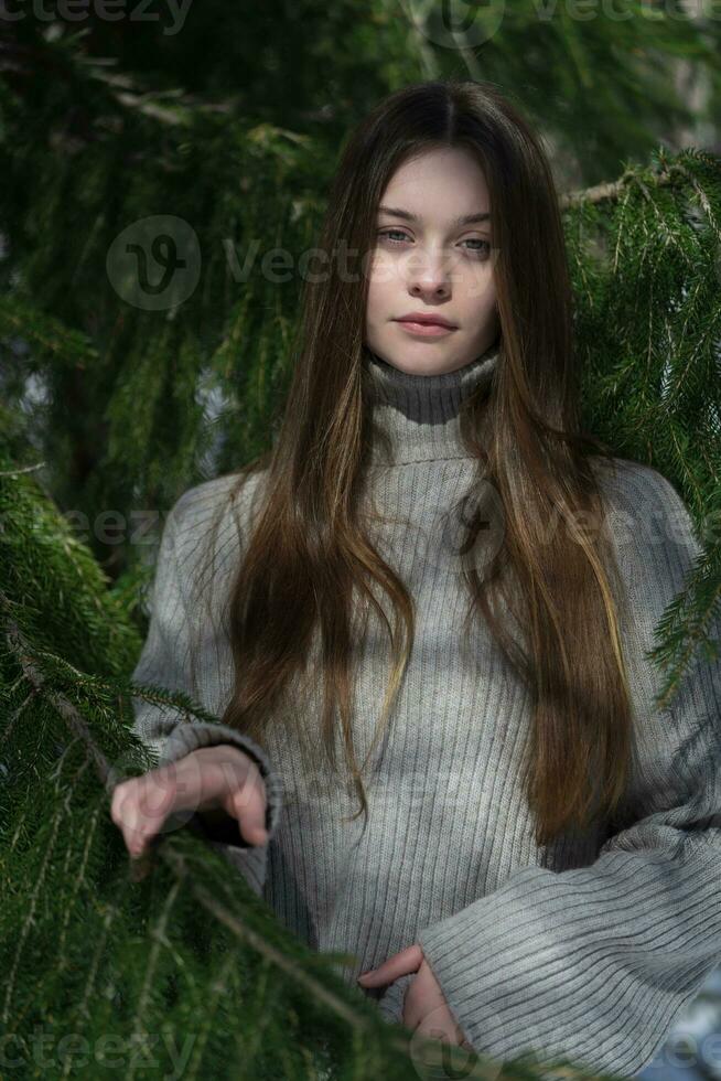 retrato de Adolescente niña en pino bosque, mirando a cámara. adolescente sin maquillaje vestido gris suéter foto