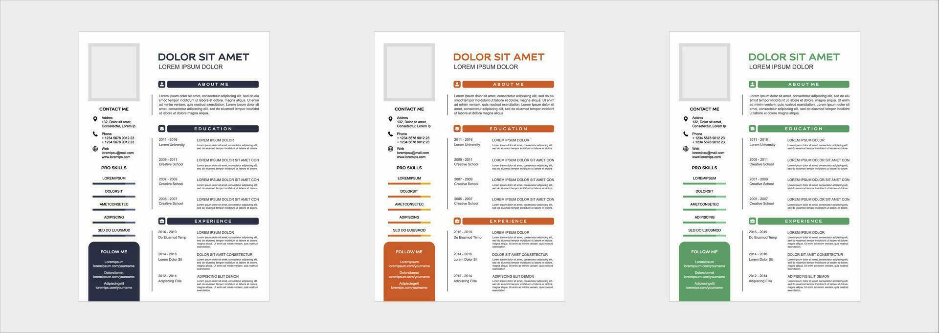 professional curriculum vitae template vector