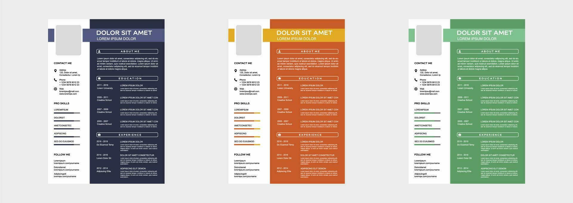 professional curriculum vitae template vector