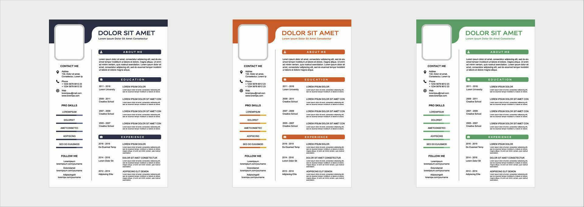 professional curriculum vitae template vector