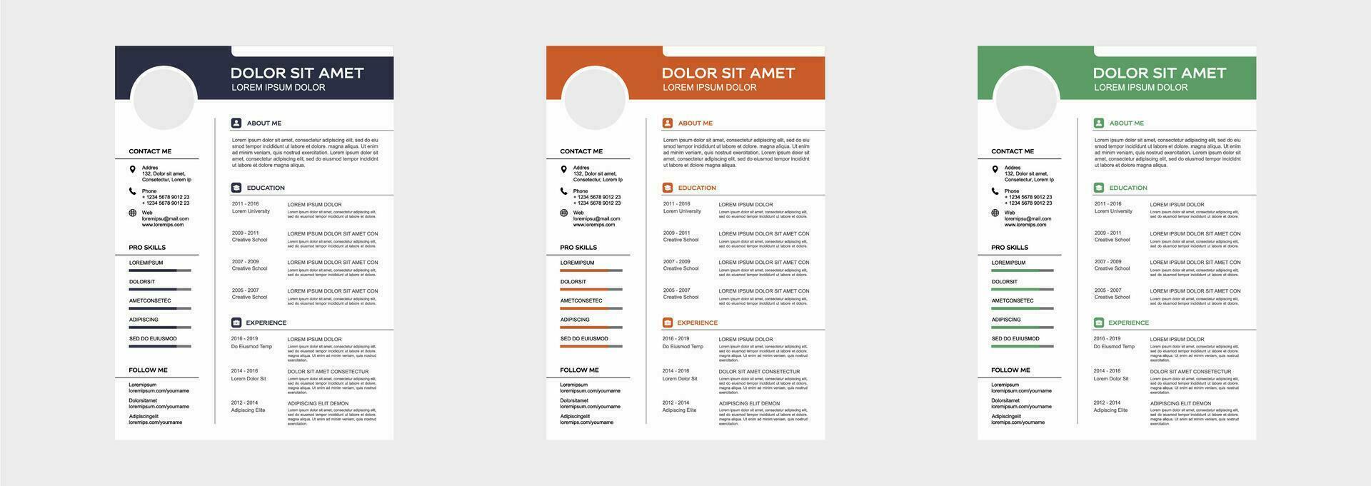professional curriculum vitae template vector