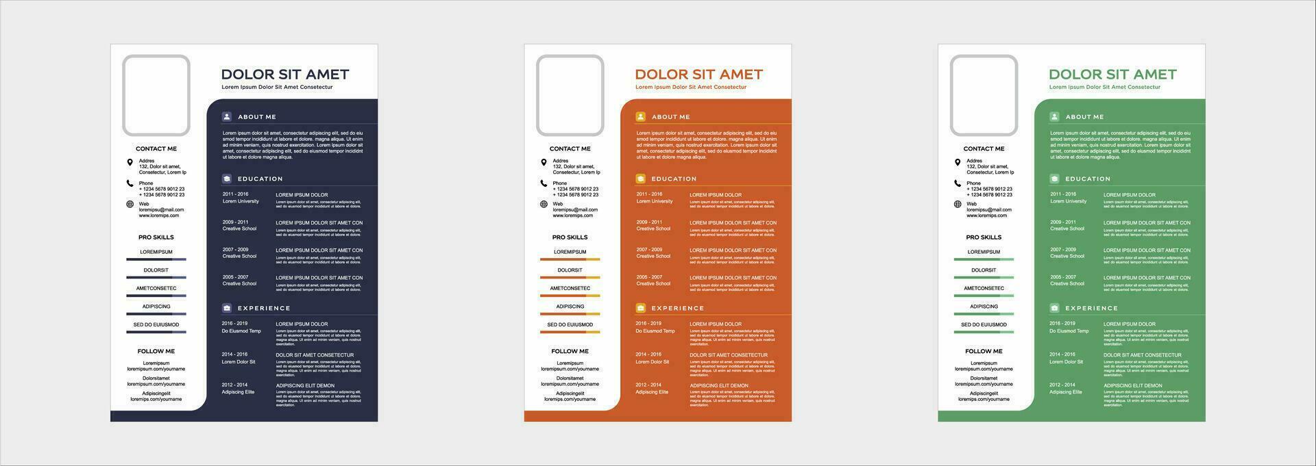professional curriculum vitae template vector