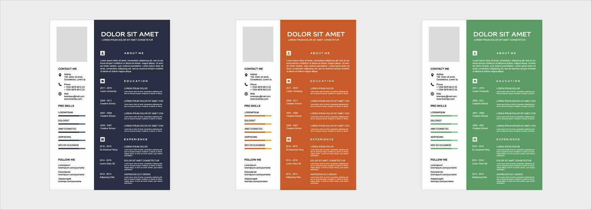 professional curriculum vitae template vector