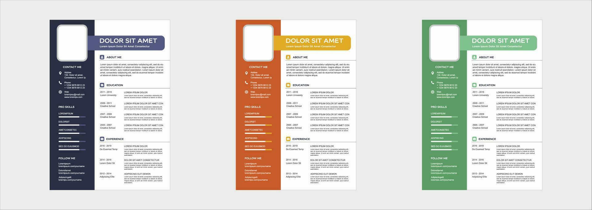 professional curriculum vitae template vector