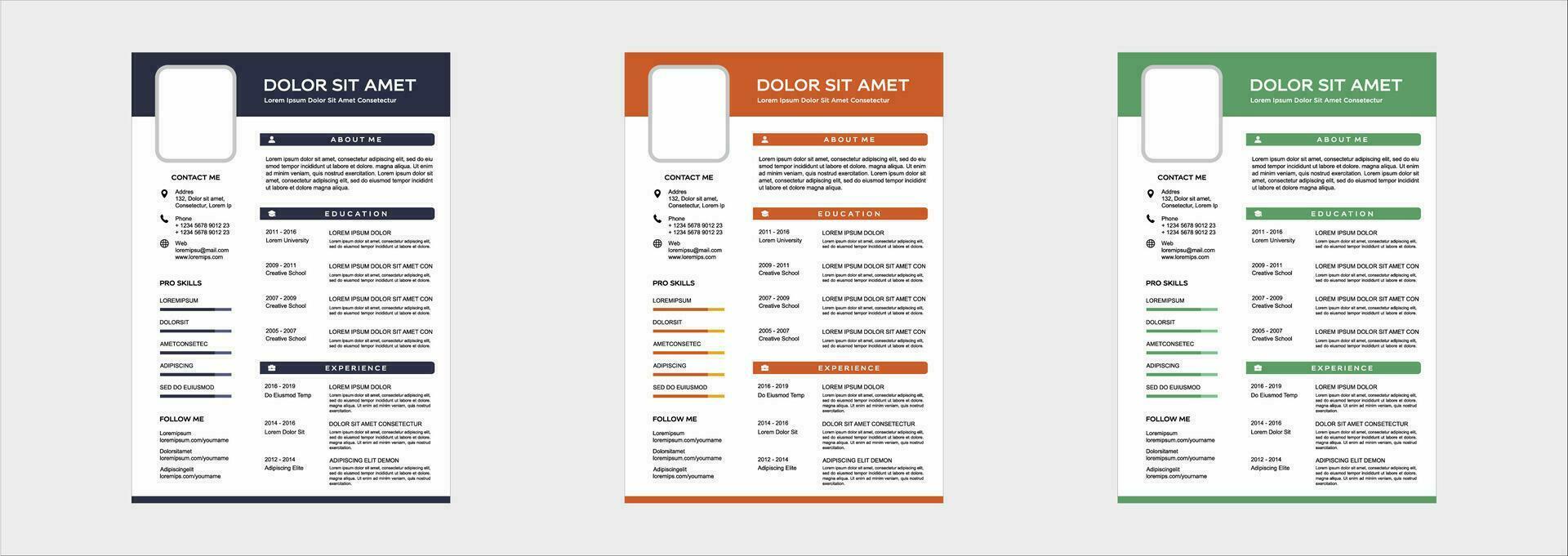 professional curriculum vitae template vector