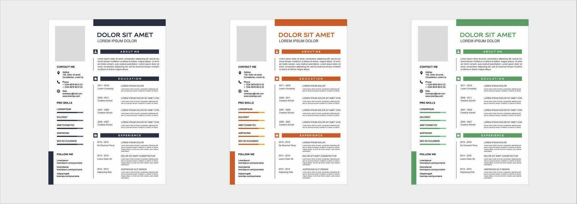 professional curriculum vitae template vector