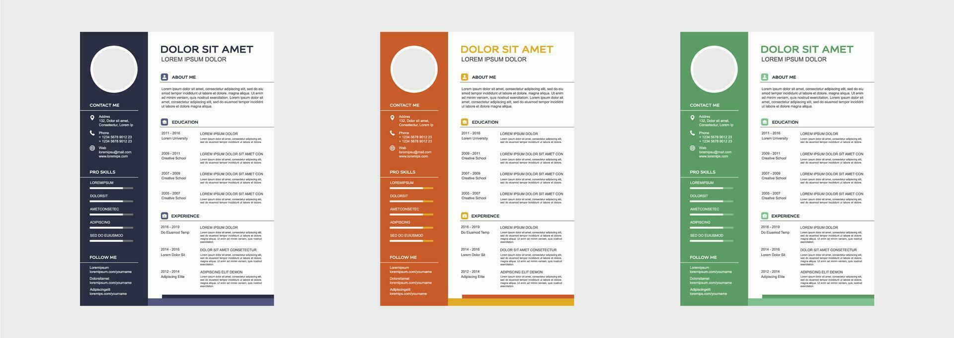 professional curriculum vitae template vector