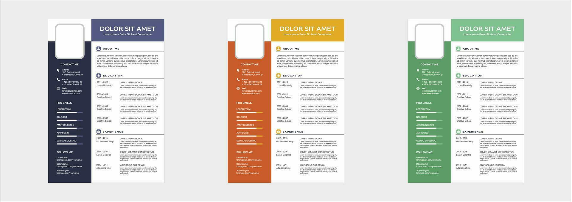 professional curriculum vitae template vector