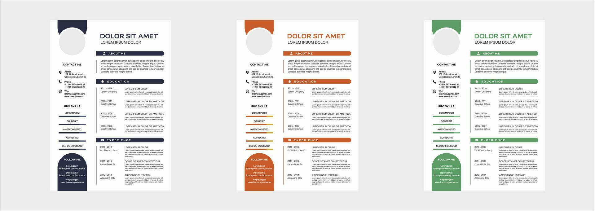 professional curriculum vitae template vector