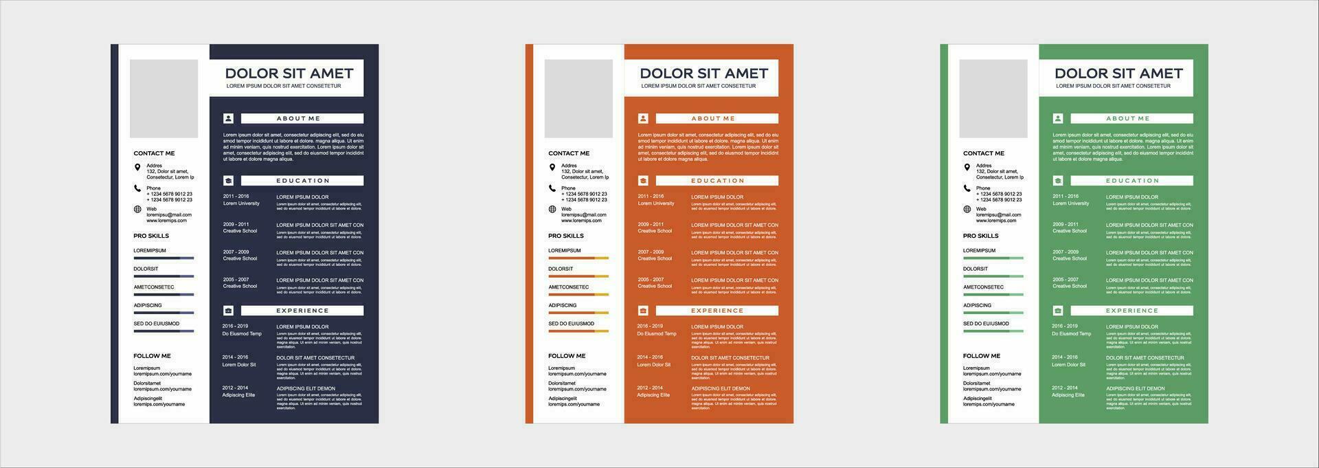 professional curriculum vitae template vector