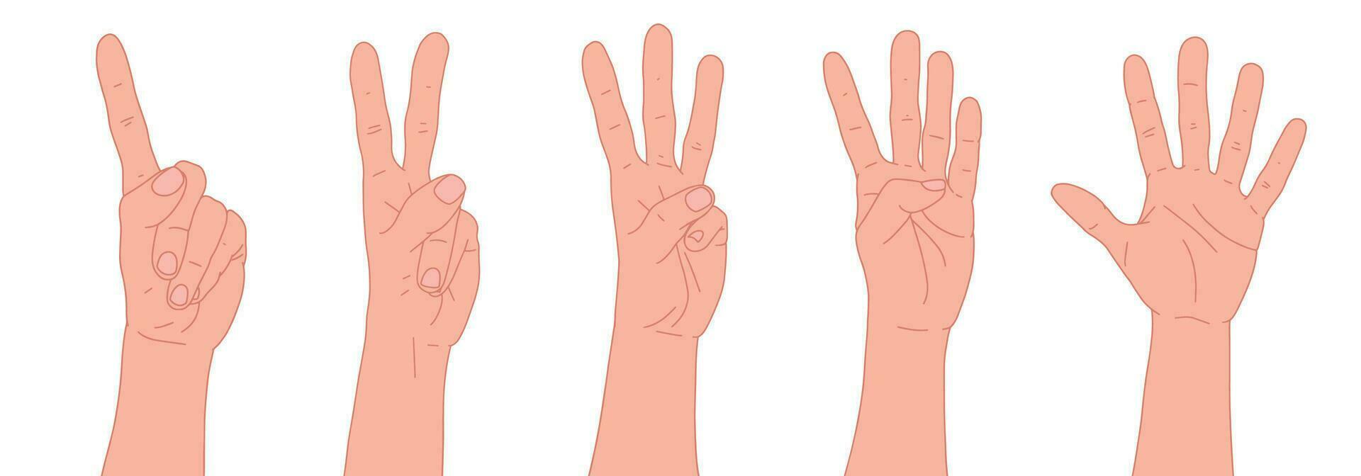 Set of hands. Counting from one to five with your hands. Finger-counting. Body language. Communication gestures concept. Number 1, 2, 3, 4, 5 with hand sign vector