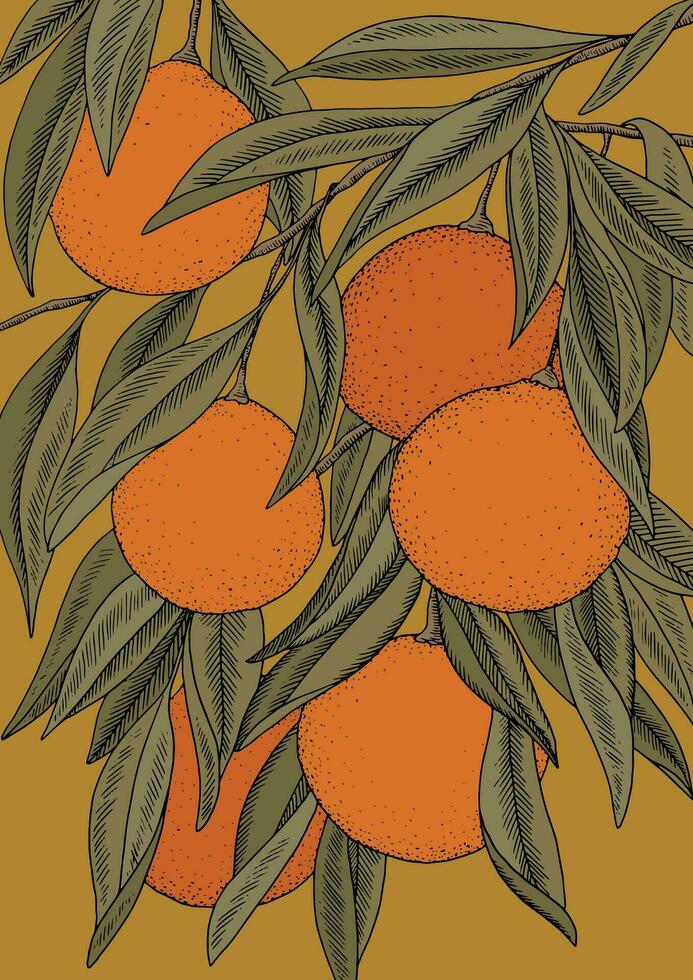 Orange branches illustration vector