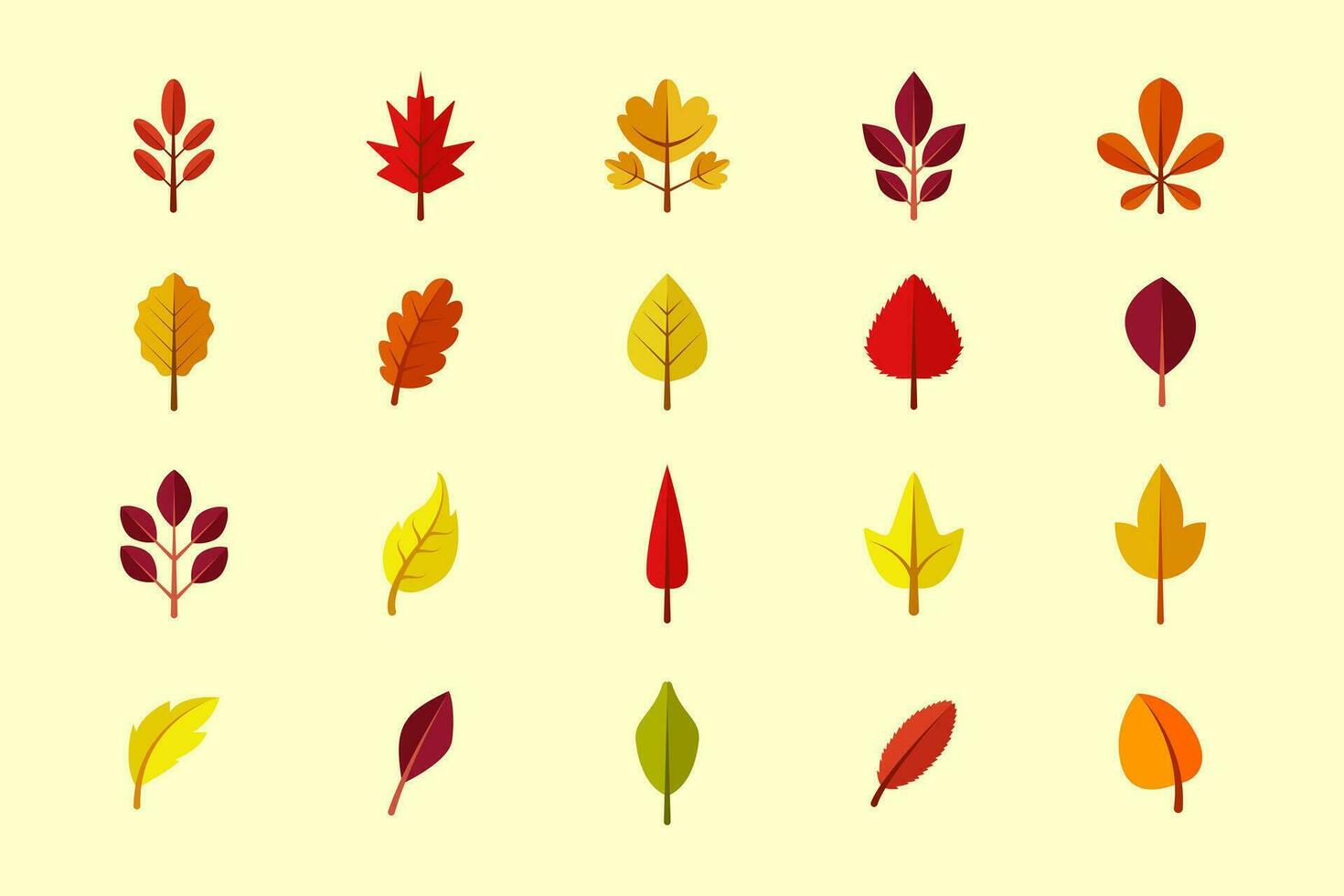 autumn leaves isolated on white, set of autumn leaves vector