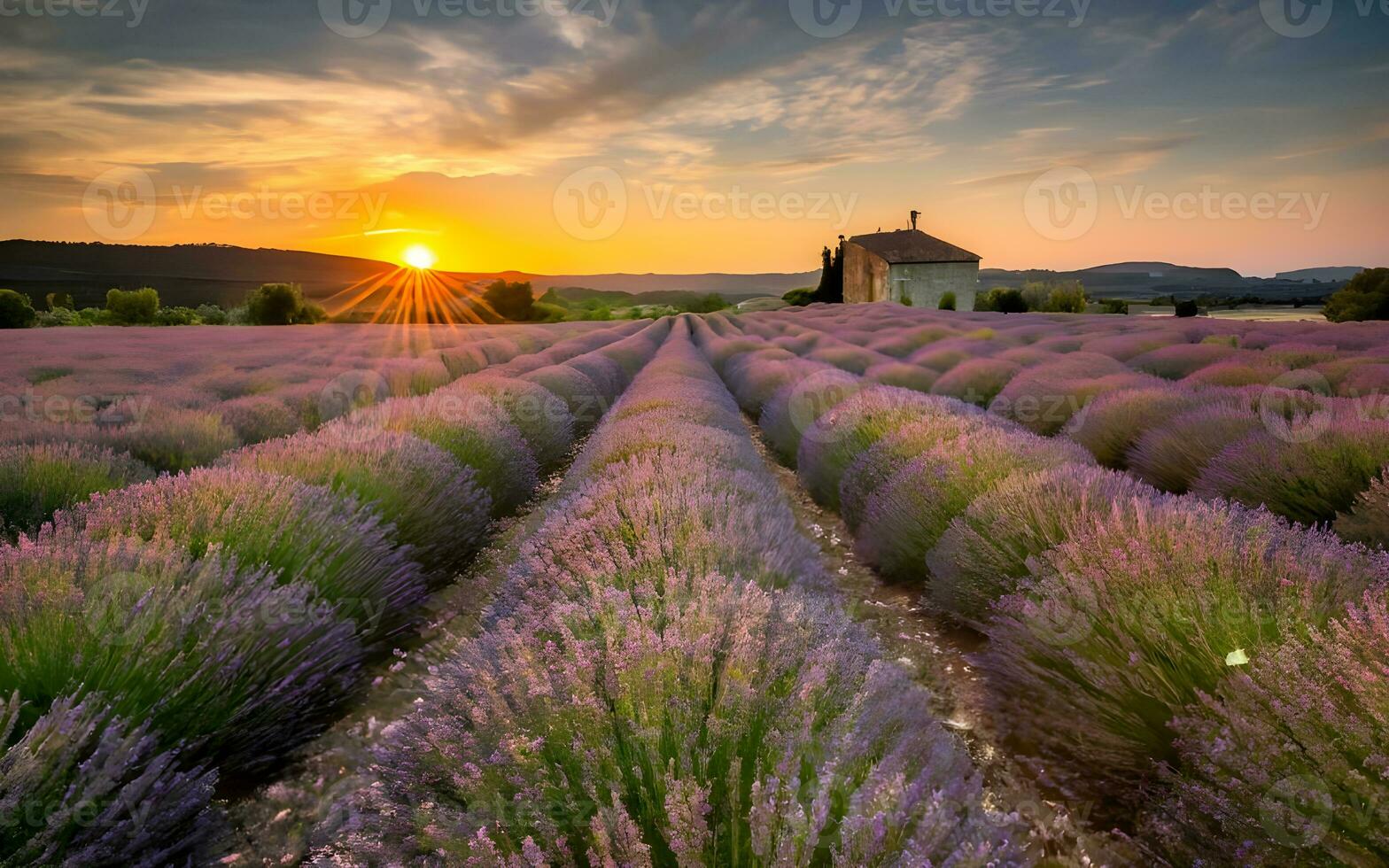 ai generado radiante provenza, un lleno de lavanda puesta de sol sinfonía foto