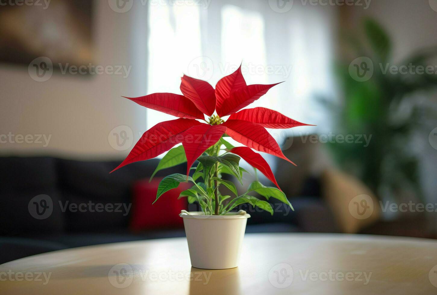 estrella Belén flor de pascua generar ai foto