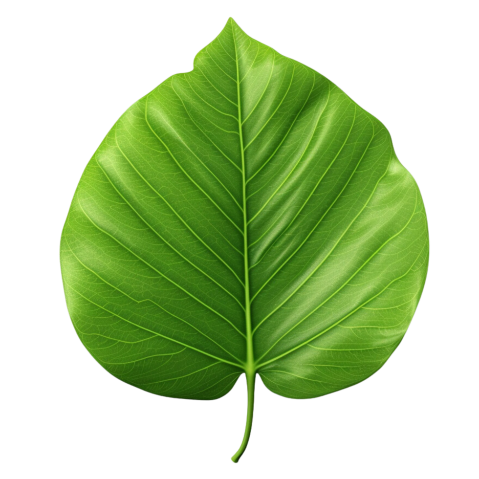 AI generated Green leaf clip art png