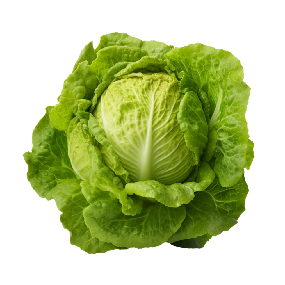 AI generated Green lettuce clip art 34968816 PNG