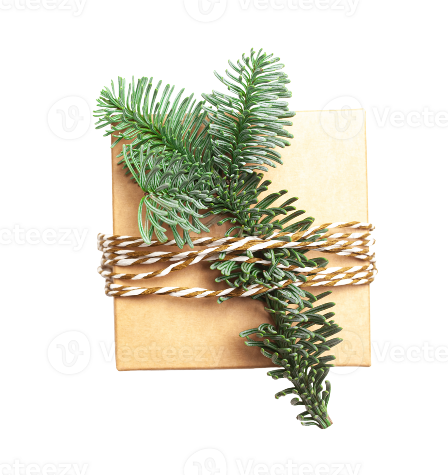 Christmas tree branch with gift box. Winter holiday element for greeting card, design invitation png