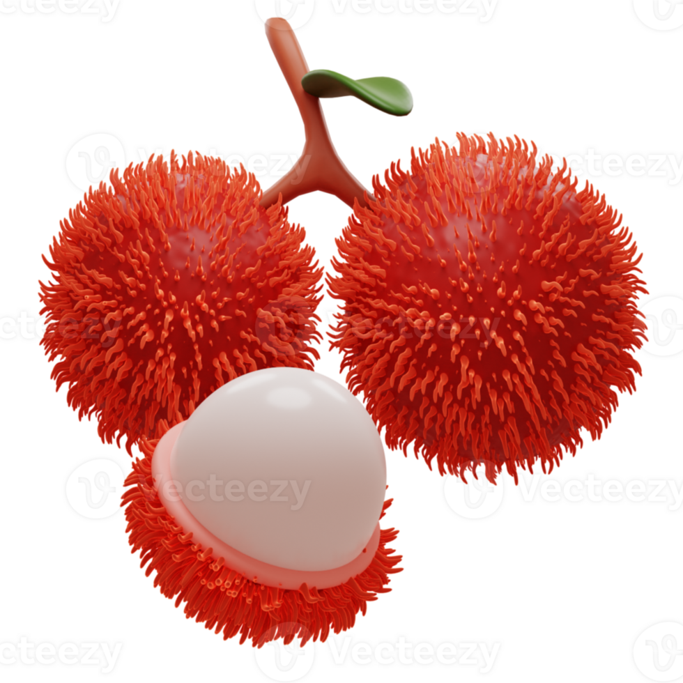 3D rambutan illustration png