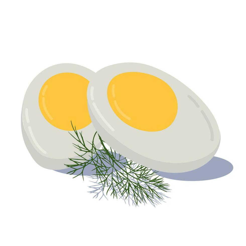 Hard boiled sliced broken egg with dill twig flat style with shadow isolated on white background. Elements of breakfast symbol. Vector illustration.