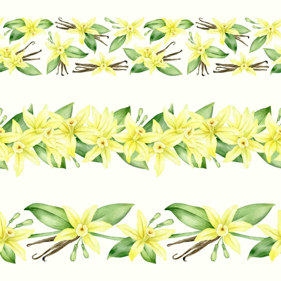 Yellow vanilla flowers, pods and leaves. Set of watercolor seamless border. Isolated. Orchid blossom. For greeting cards, postcard, menu, packaging design vector