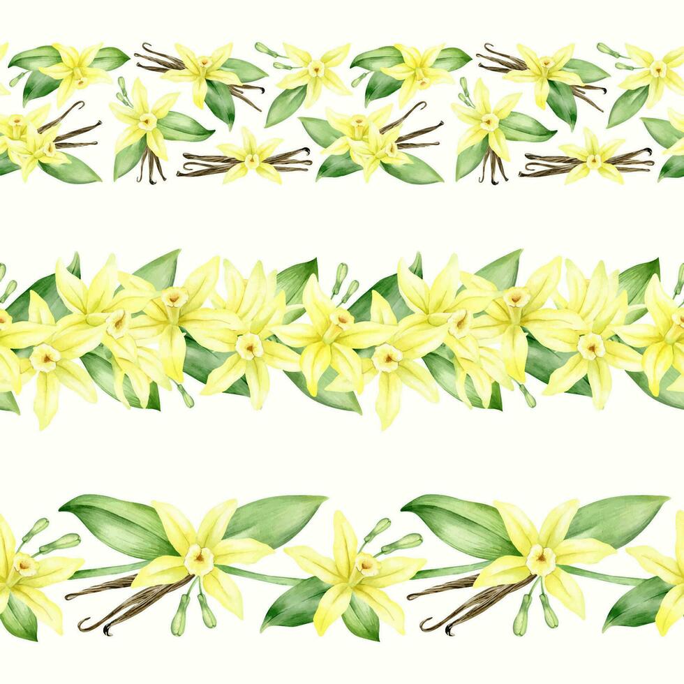 Yellow vanilla flowers, pods and leaves. Set of watercolor seamless border. Isolated. Orchid blossom. For greeting cards, postcard, menu, packaging design vector