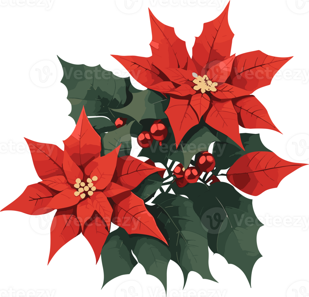 AI generated poinsettia clipart - christmas clipart png