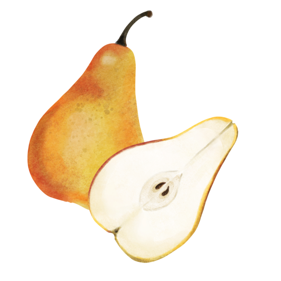 pear fruit watercolor png