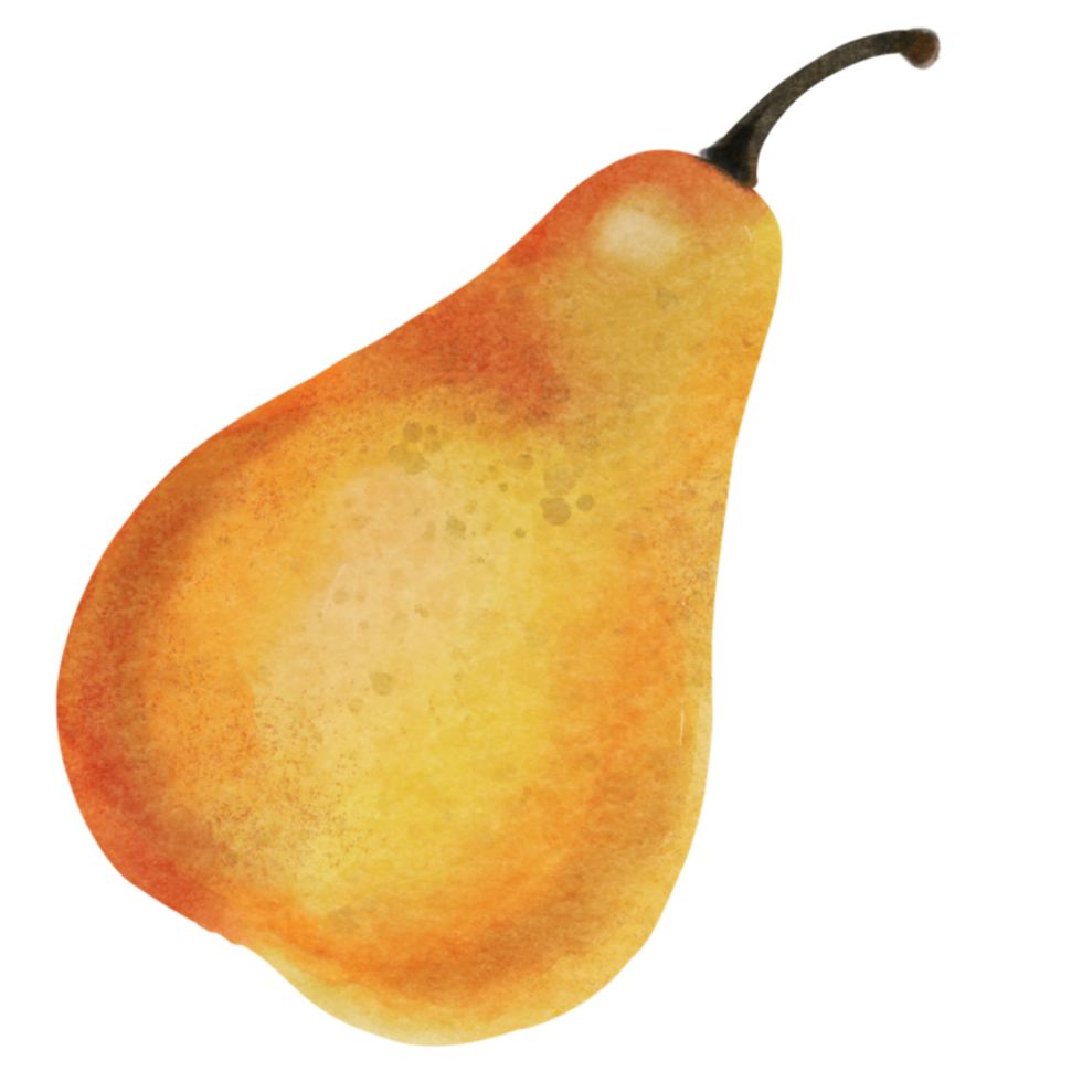 pear fruit watercolor png