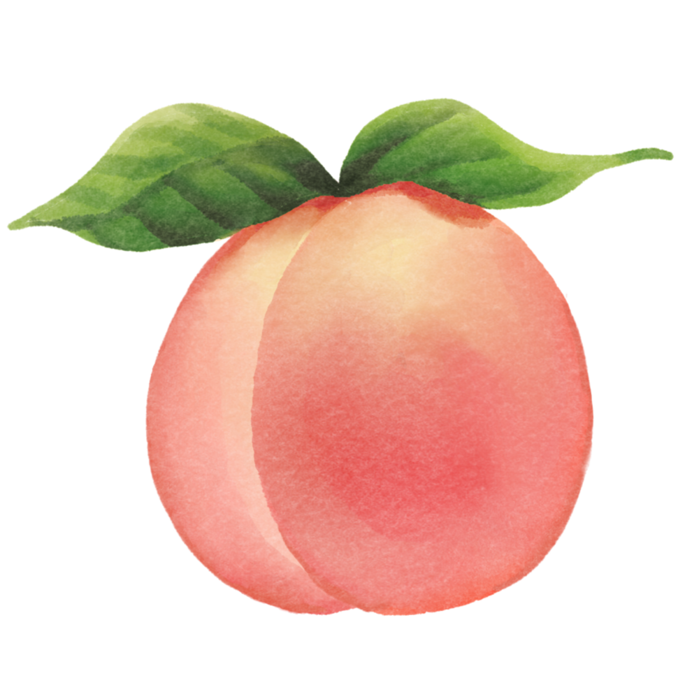 Peach fruits watercolor png