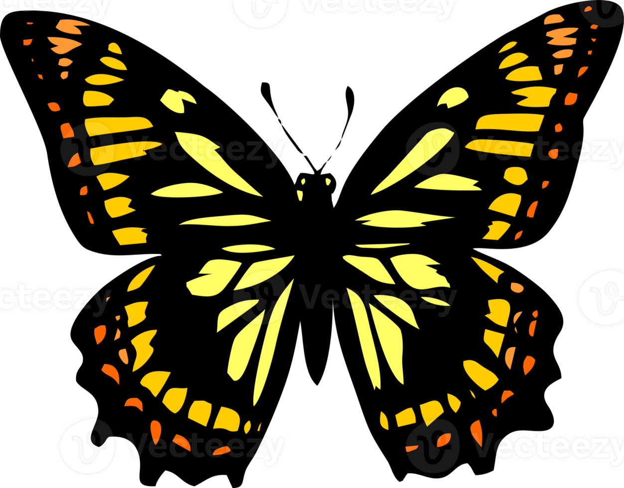 drawing of a yellow-orange butterfly with a black outline, isolated element, decor png