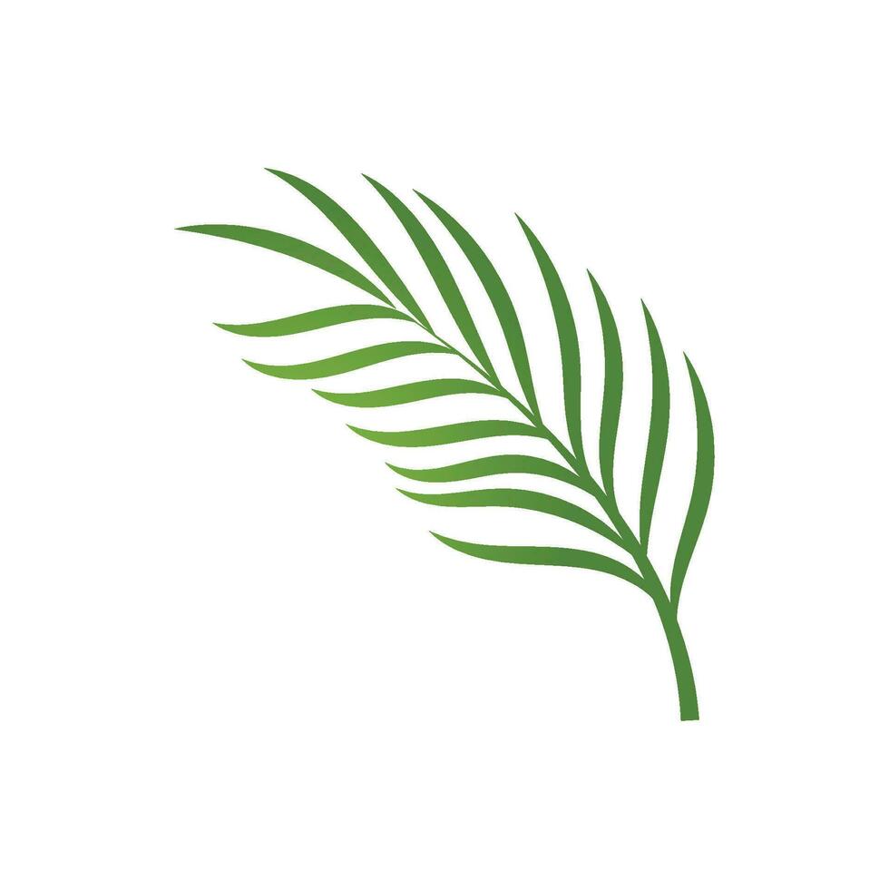 Leaf palm logo vector template symbol and design