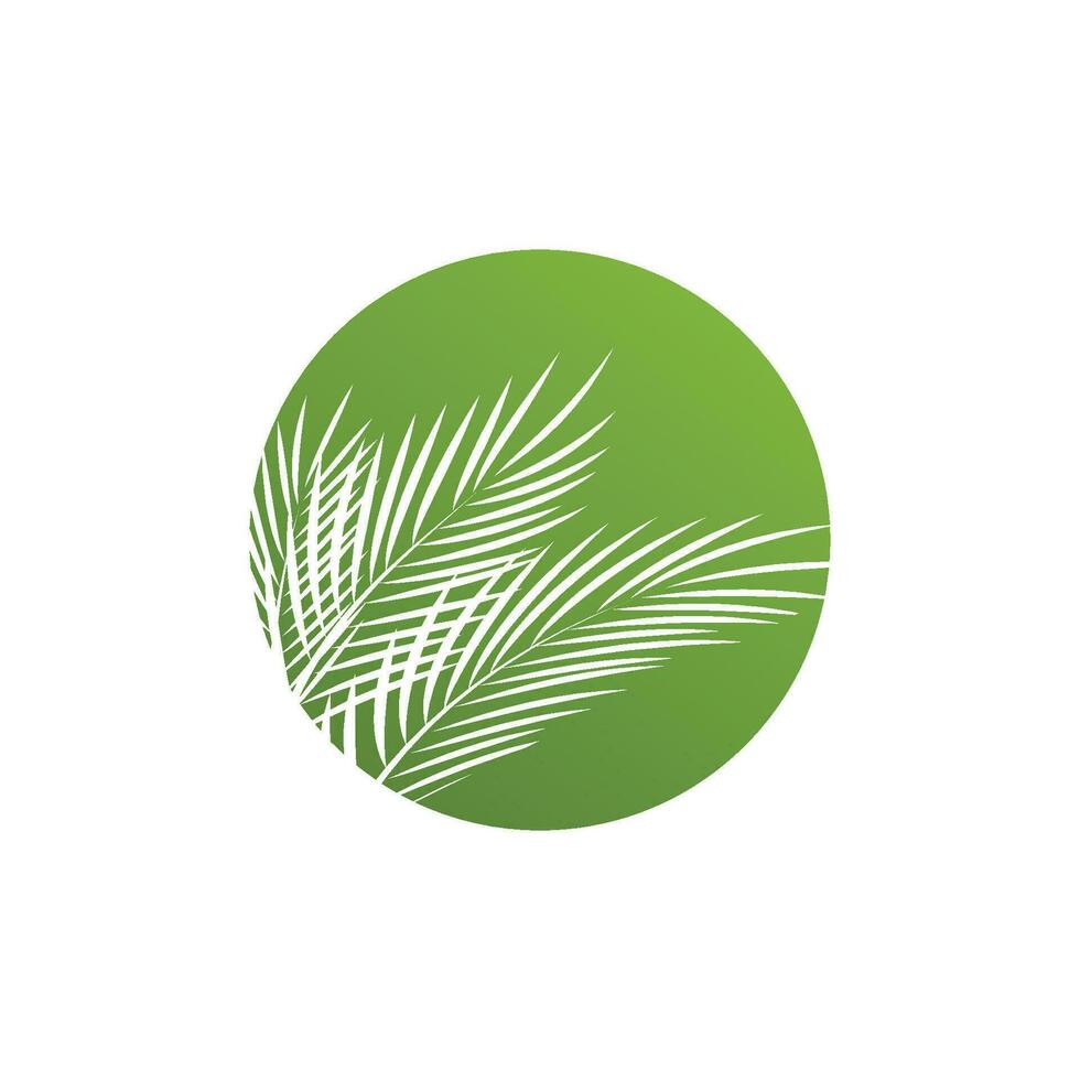 Leaf palm logo vector template symbol and design