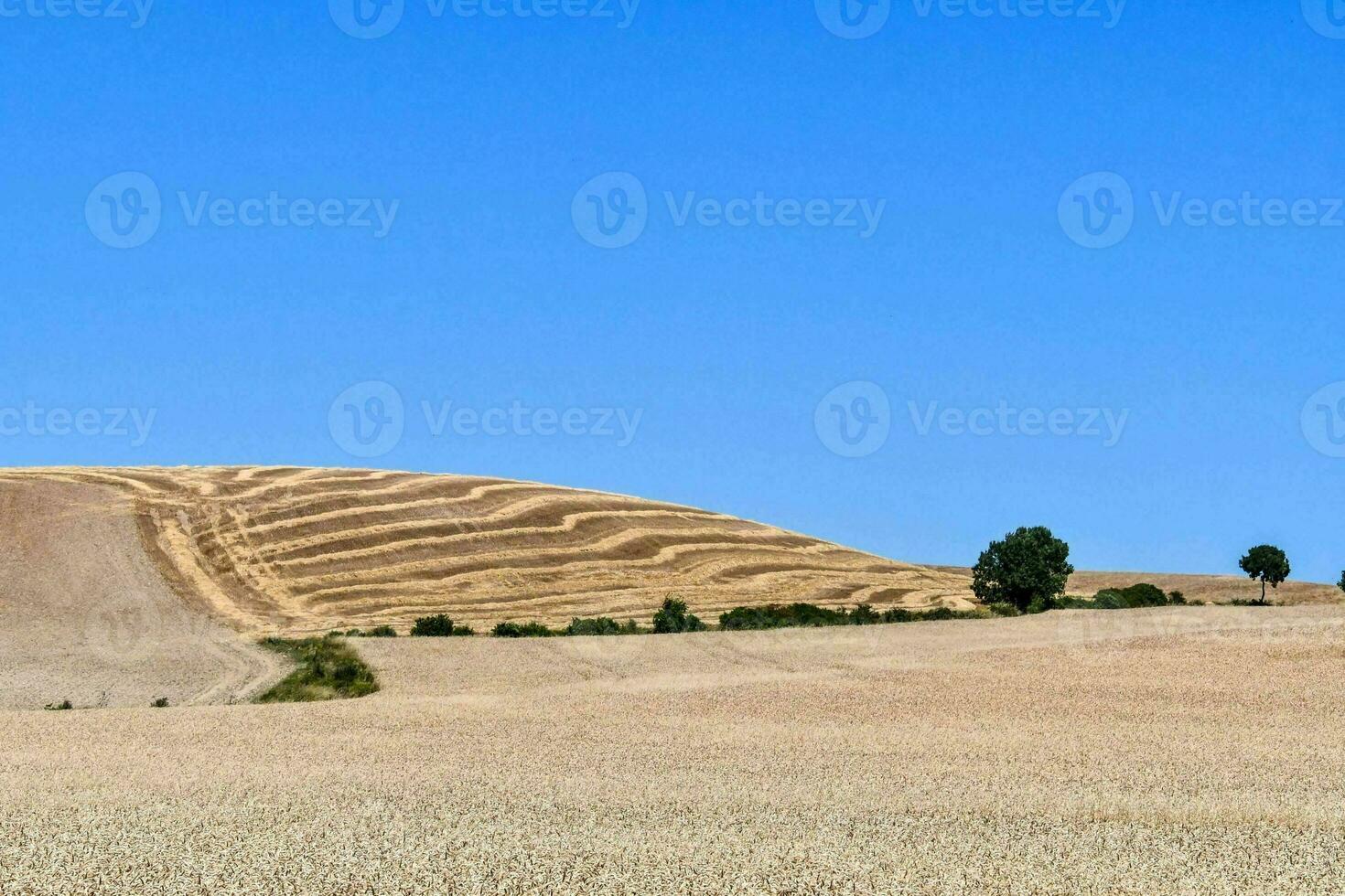 vista escénica del desierto foto