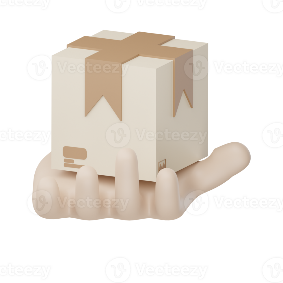 Gift Package Icon png